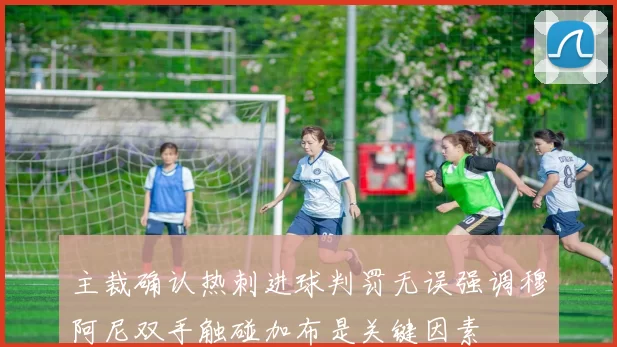 主裁确认热刺进球判罚无误强调穆阿尼双手触碰加布是关键因素
