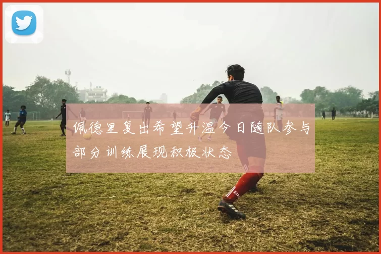 佩德里复出希望升温今日随队参与部分训练展现积极状态