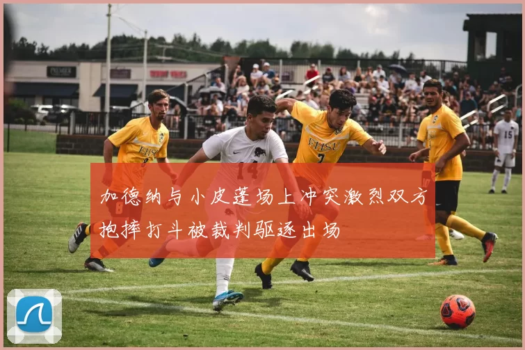 加德纳与小皮蓬场上冲突激烈双方抱摔打斗被裁判驱逐出场